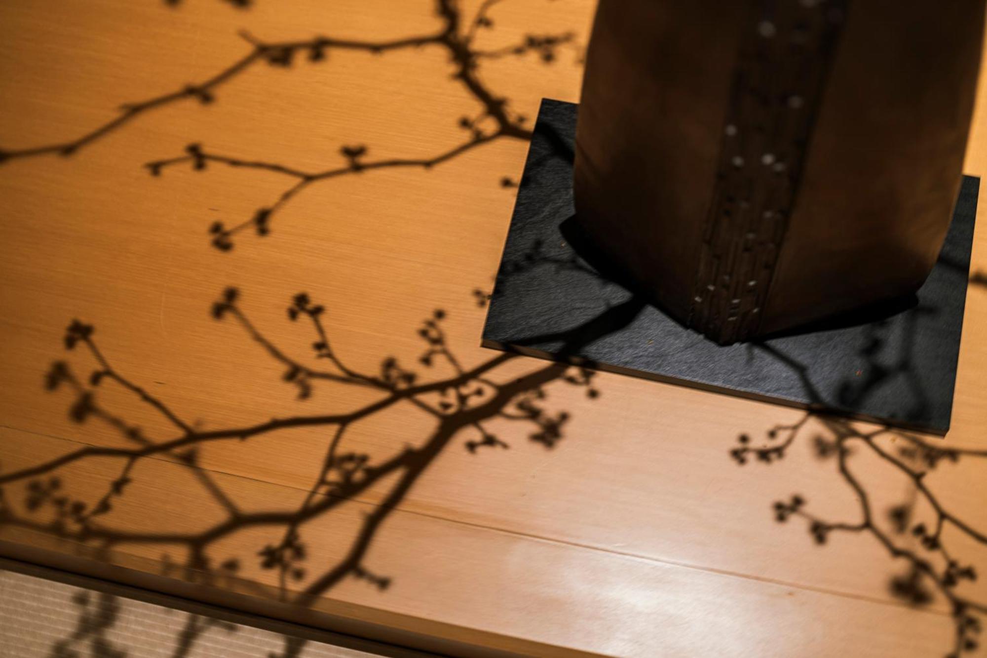 Отель Shinzan Kinosaki Тоёока Экстерьер фото